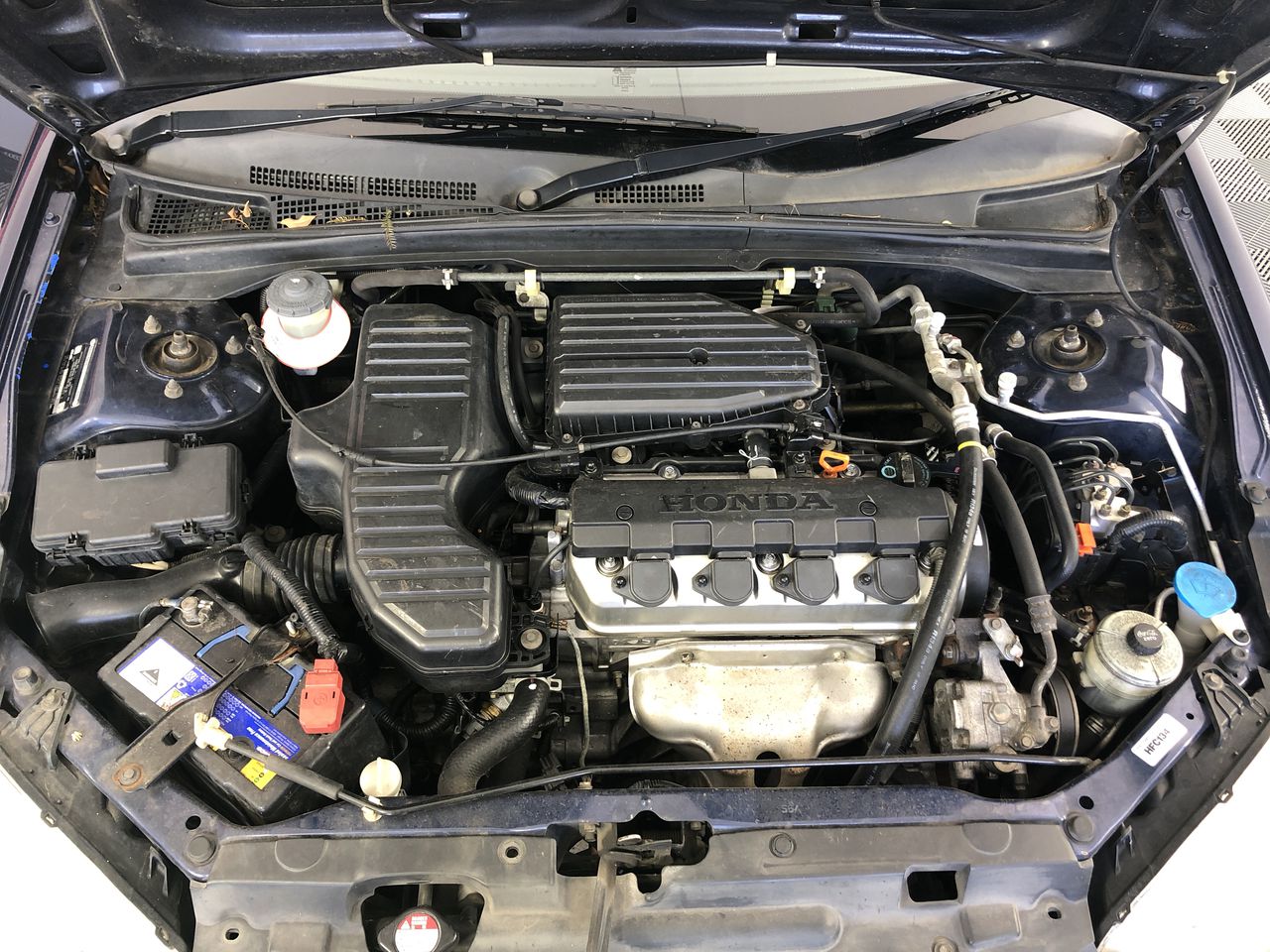 BIJ'OR - Double Drop Pink, Purple Genuine Freshwater Pearl Earrings. RRP 59