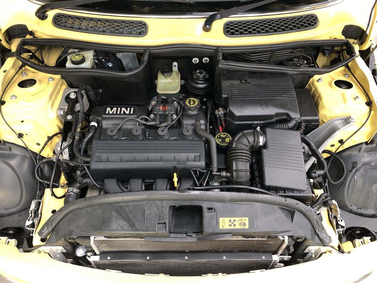 Fishbone Blue Merlot 2022 (6x 750mL) Margaret River