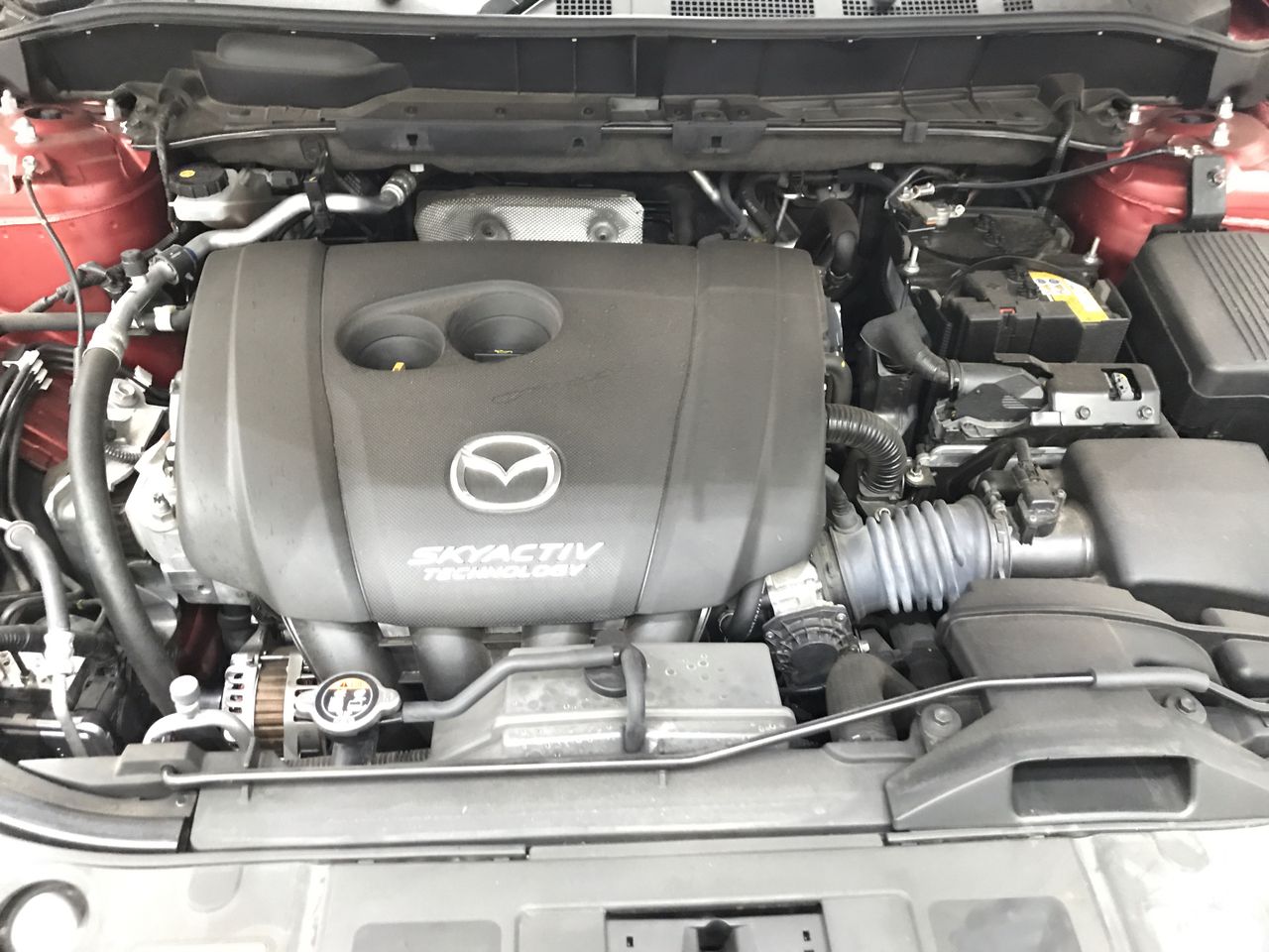 20ft High Cube Side Opening Container(Unused)