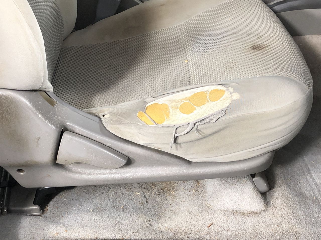 Umbreon VMAX Japanese graded 9.5 Gem Mint slab card.