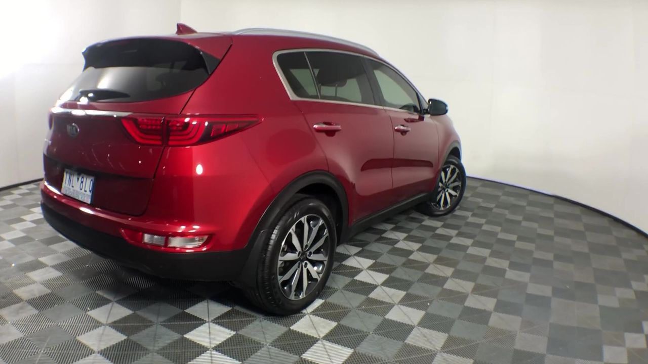 Mewtwo XY Evolutions classic reprint holographic card.