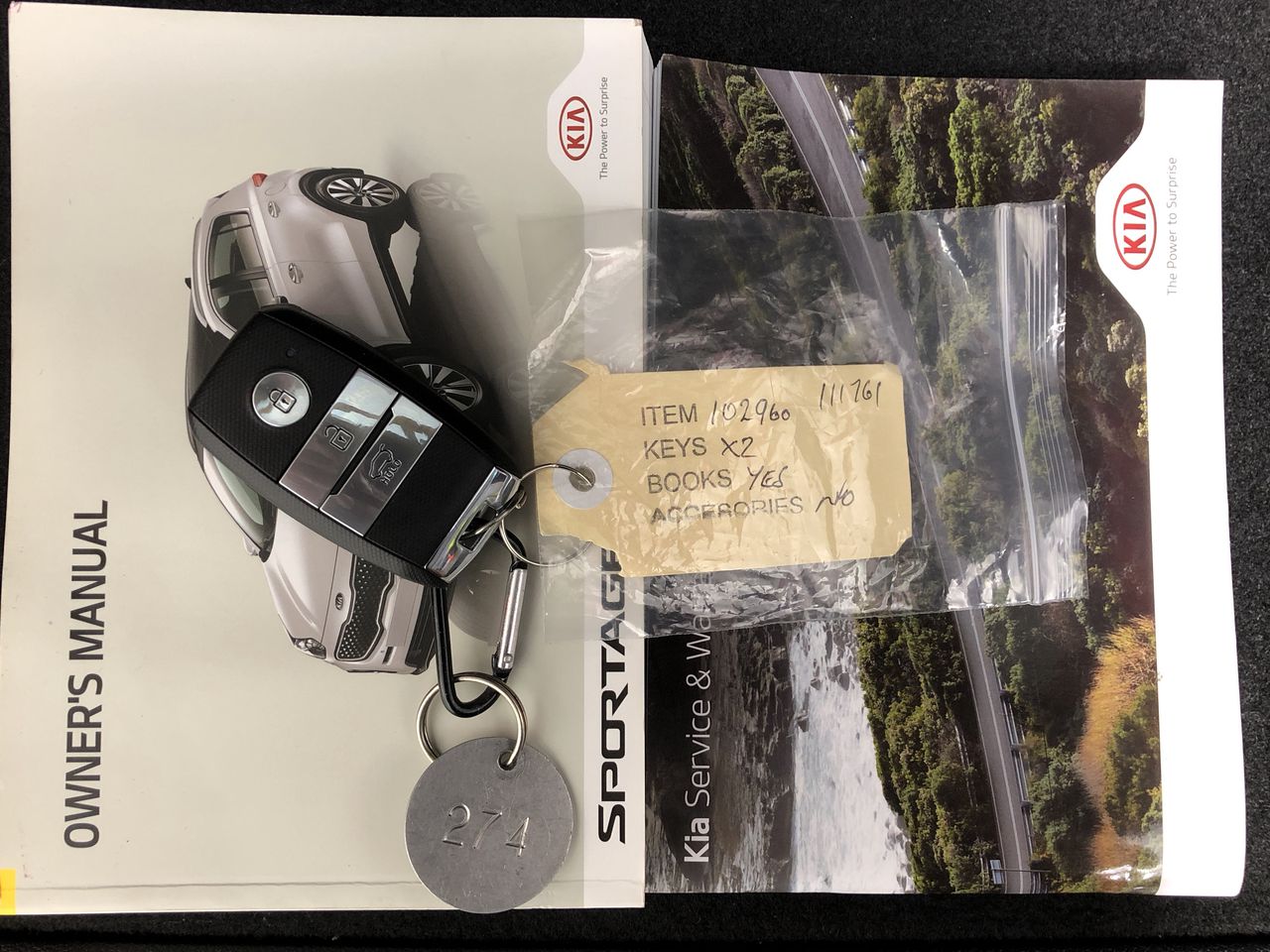 Mega Sharpedo EX Japanese dark-type holographic card.