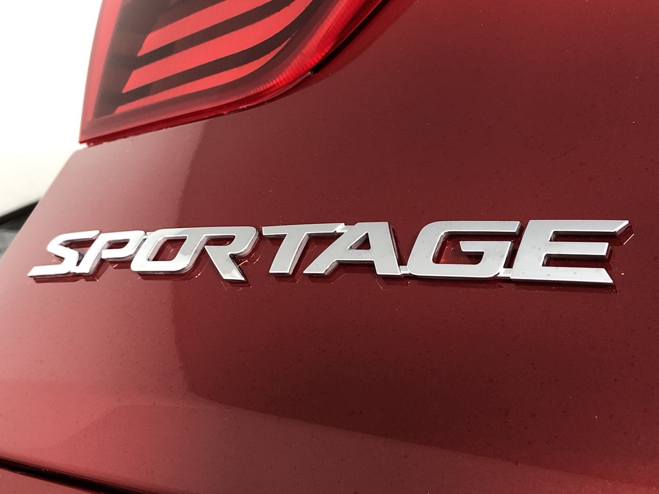 Machamp EX holographic fighting Pokémon card.