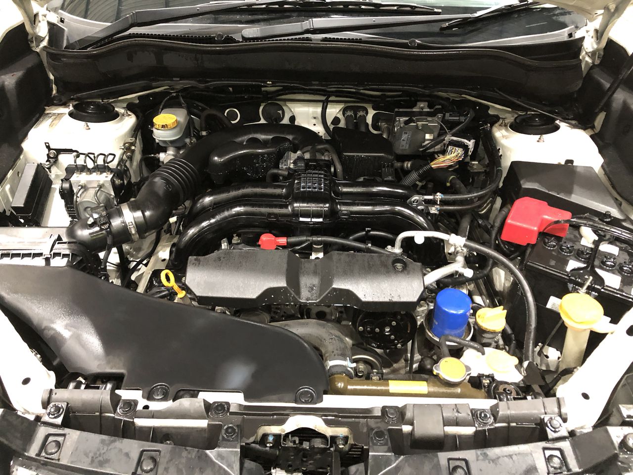 Elephant in the Room Pinot Noir (6x 750mL).