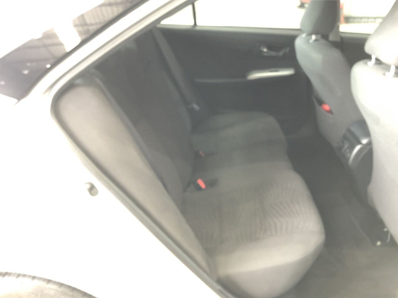 Virtue Merlot 2019 (12x 750mL), Coonawarra