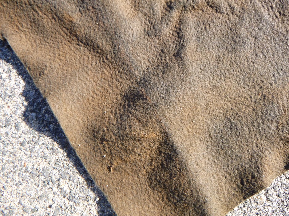 Double Toilet Block (Unused)
