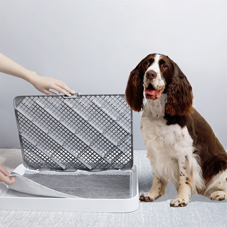 PaWz 400 Pcs 60x60cm Charcoal Pet Dog To