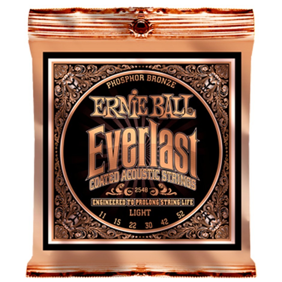 Ernie Ball Coated Acoustic Guitar String