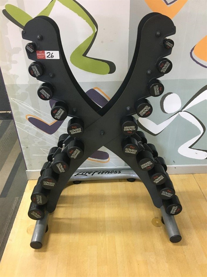Hammer Strength Dumbbells & Rack Auction (00267029543) Grays Australia