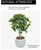 90cm Faux Artificial Schefflera Arboricola/Umbrella Fake Plant Home/Office