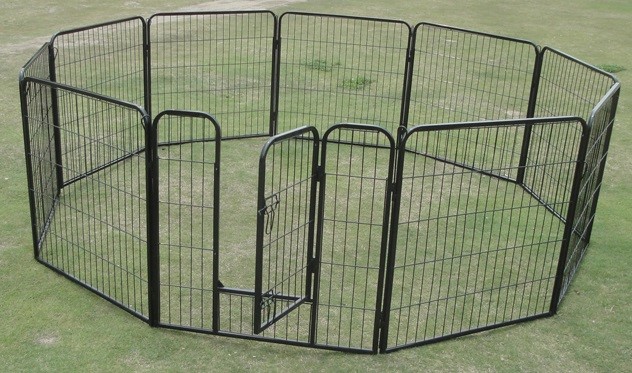 10 x 1200 Tall Panel Pet Exercise Pen En