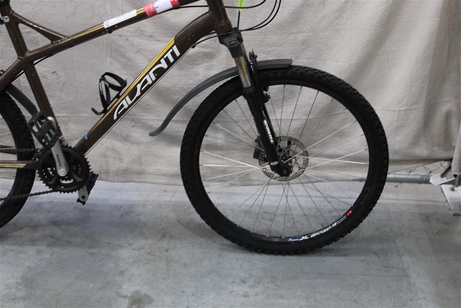 Avanti escape sales mountain bike