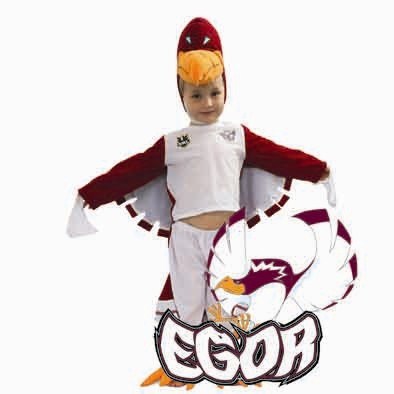 Buy Nrl Egor The Manly Sea Eagle Mascot Kids Costume Grays Australia