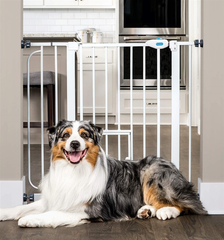 CARLSON PET PRODUCTS Extra Wide Walk Through Pet Gate w/ Small Pet Door, 73