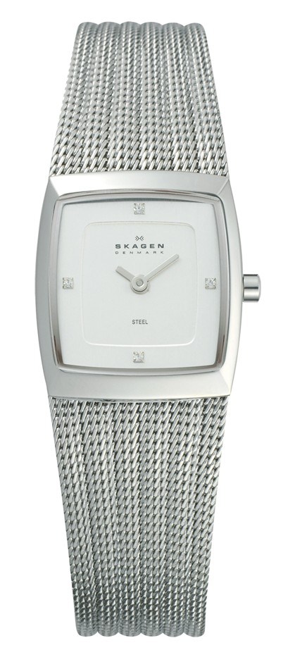 Skagen Ladies Stainless Steel Watch - 38
