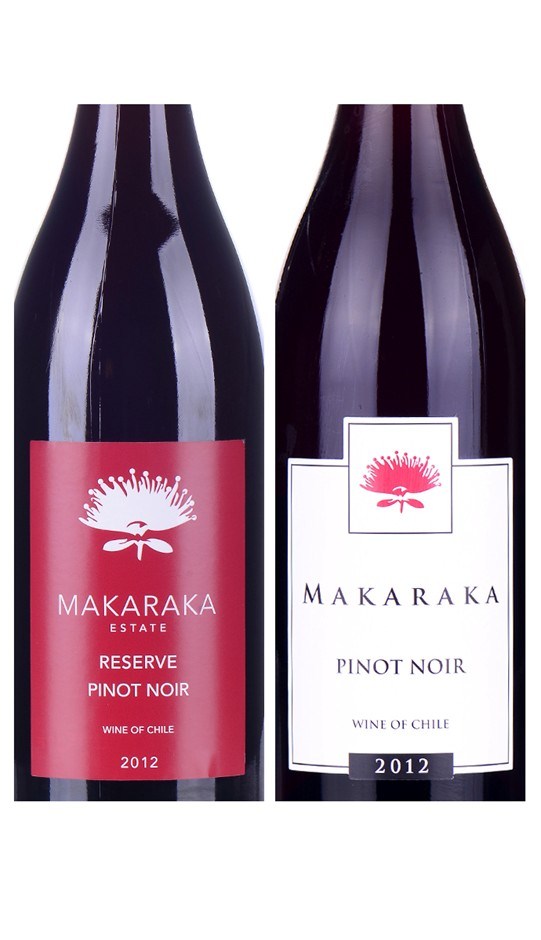 Makaraka Chilean Pinot Noir Mixed Pack 2