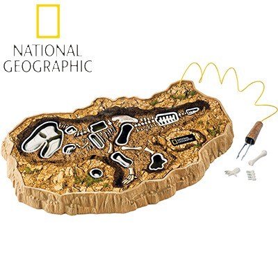National Geographic Dino Xcavator Dinosa