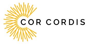 MAJOR EVENT  - Excavator, Truck and Loaders Sale