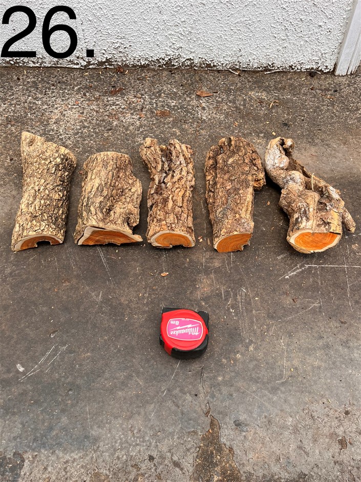 Inspection &#38; Collection