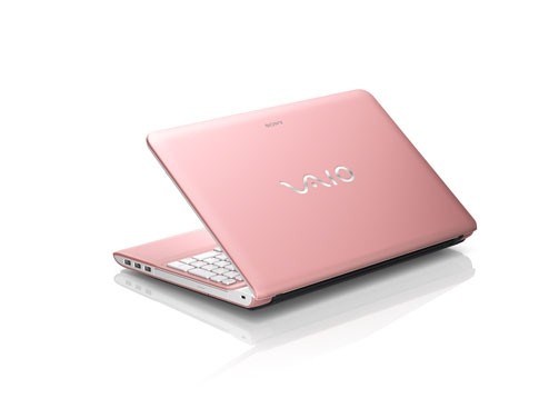 Sony VAIO E Series SVE15137CGP 15.5 inch