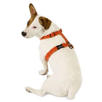 Planet Dog Hemp Harness Medium Apple Gre