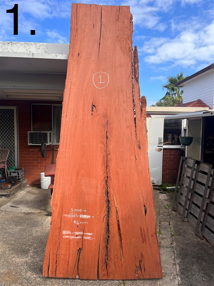 Extremely Large Timber Slab Red Gum Auction (00015052637) Grays