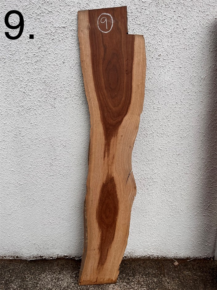 Timber Slab Tasmanian Blackwood Auction (00095052637) Grays Australia