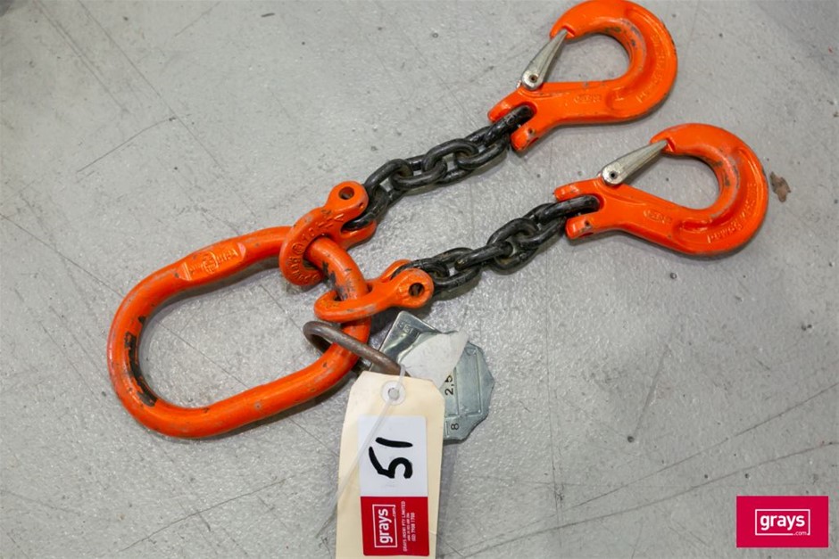 Pfeifer 2 Leg Lifting Chains Auction (0051-5052862) | Grays Australia