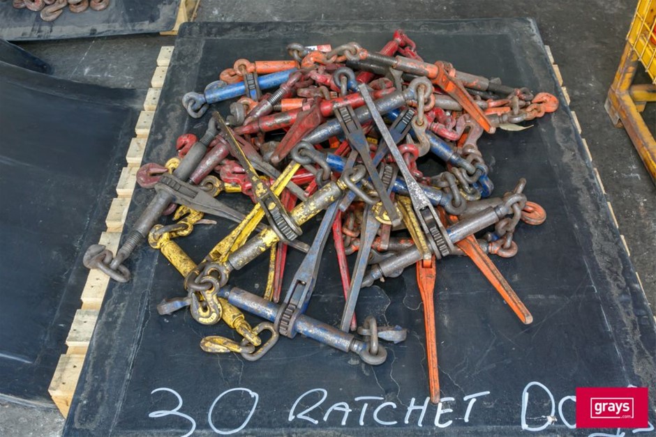 30x Ratchet Chain Dog Tie Downs Auction (01315054433) Grays Australia