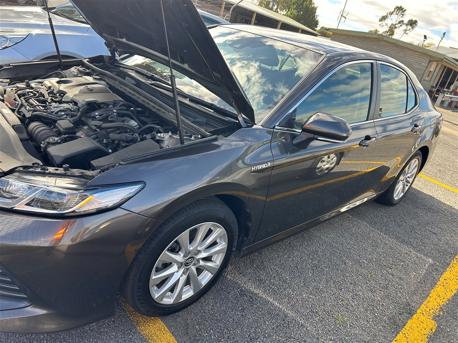 2019 Toyota Camry ASCENT HYBRID AXVH71R CVT Sedan (EX GOV) Auction ...