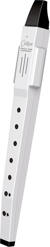 BLACKSTAR CARRY-ON Digital Wind Instrument, Incl: Built-In USB & Rechargeab