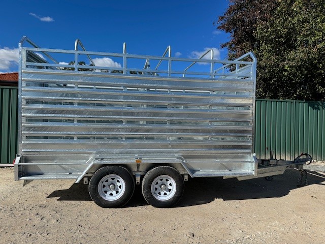 2025 Unused Galvanised Dual Axle 12' x 6' Cattle Trailer (Unused)