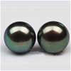 Exquisite Natural Black Shell Pearl Stud Earrings