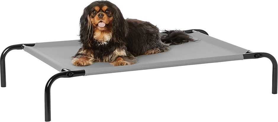 AMAZON BASICS Cooling Elevated Pet Bed, Small (90 x 55 x 20 centimeters), G
