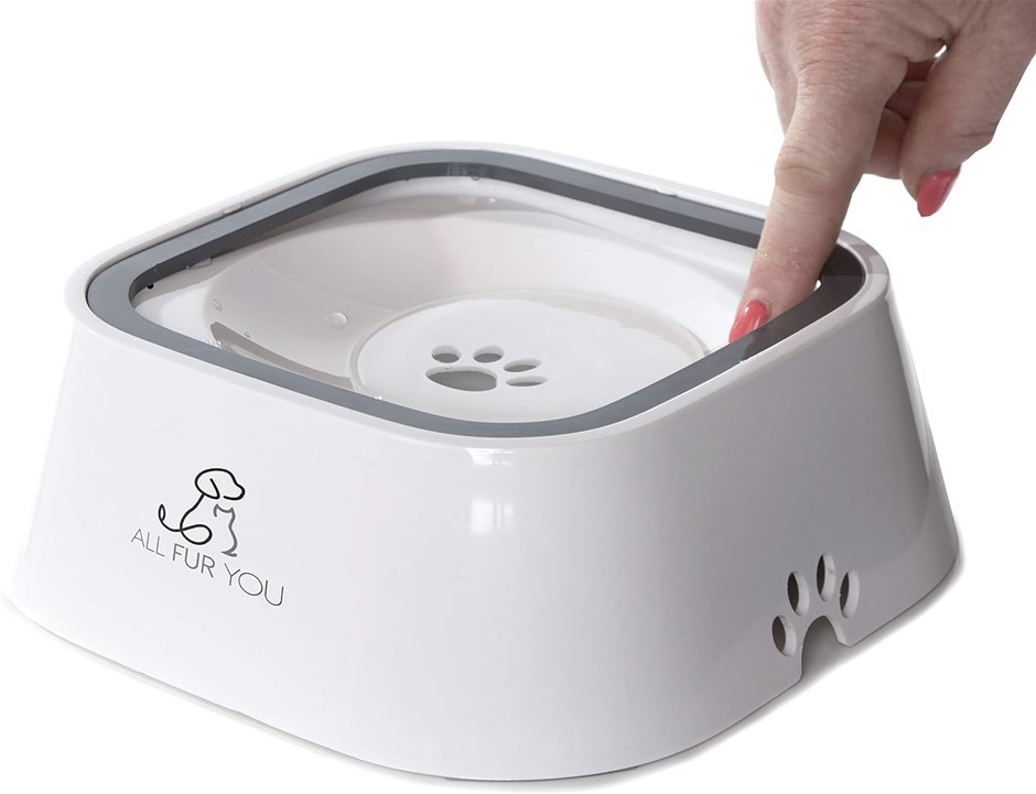 ALL FUR YOU Dog Water Bowl, Splash Proof, Anti Spill Slow Feeder Dish Cat W