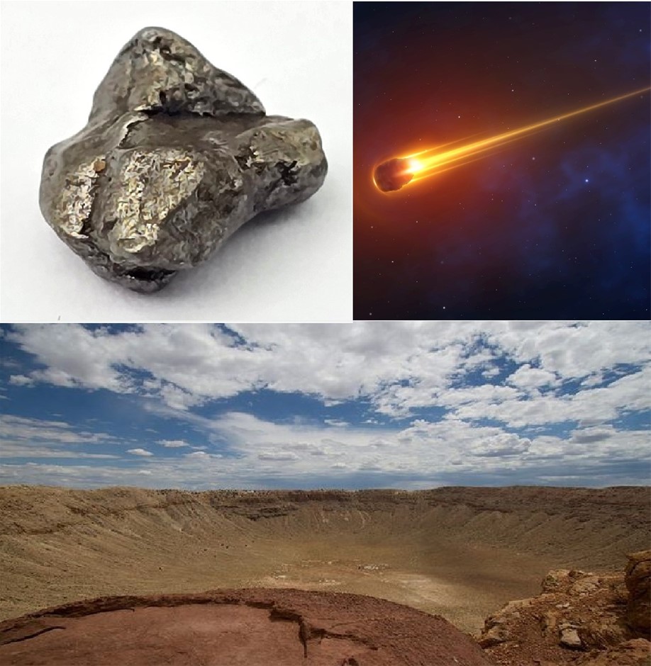 No Reserve Campo Del Cielo Meteorite Fragments