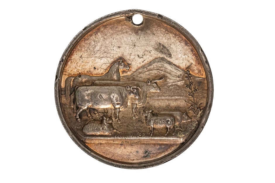 Delivery Information