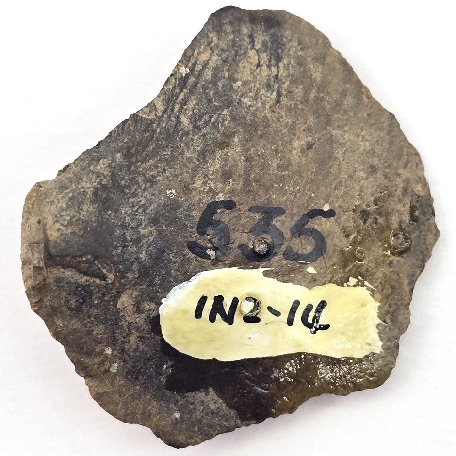 No Reserve 1200AD Susquehannock Indians Native