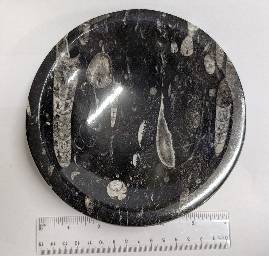 Gemstones and Fossils