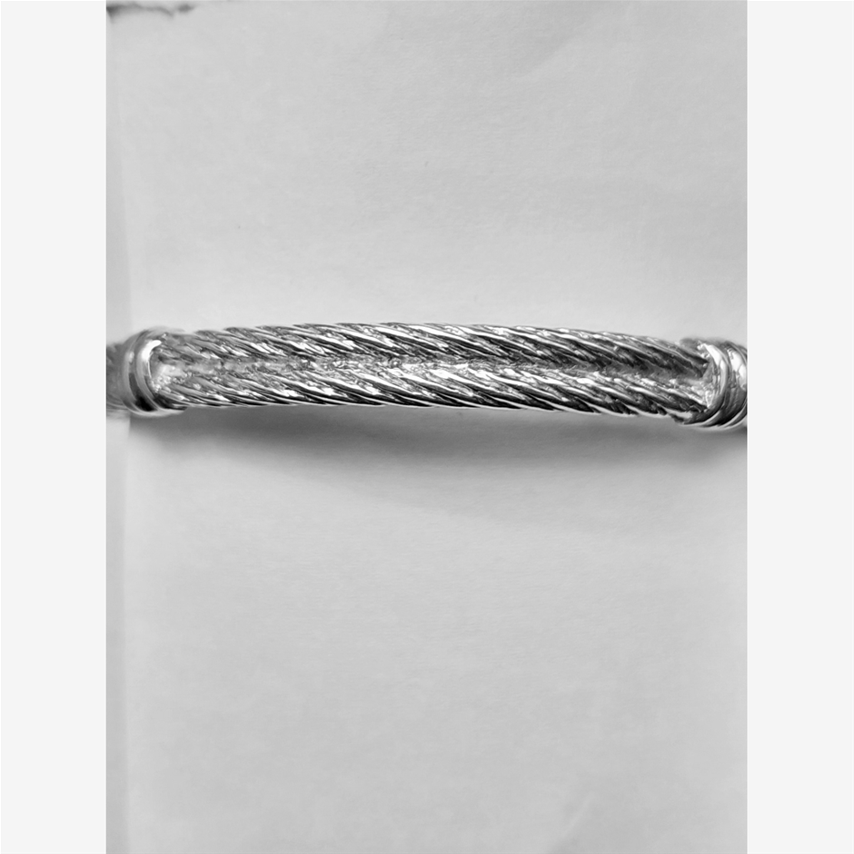 S/Siver Double Bangle