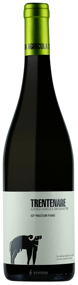 San Salvatore Trentenare Fiano Paestum I