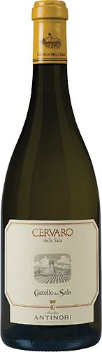 Antinori Cervaro della Sala IGT 2023 (6x