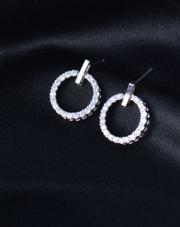 Stunning Eternity Earrings