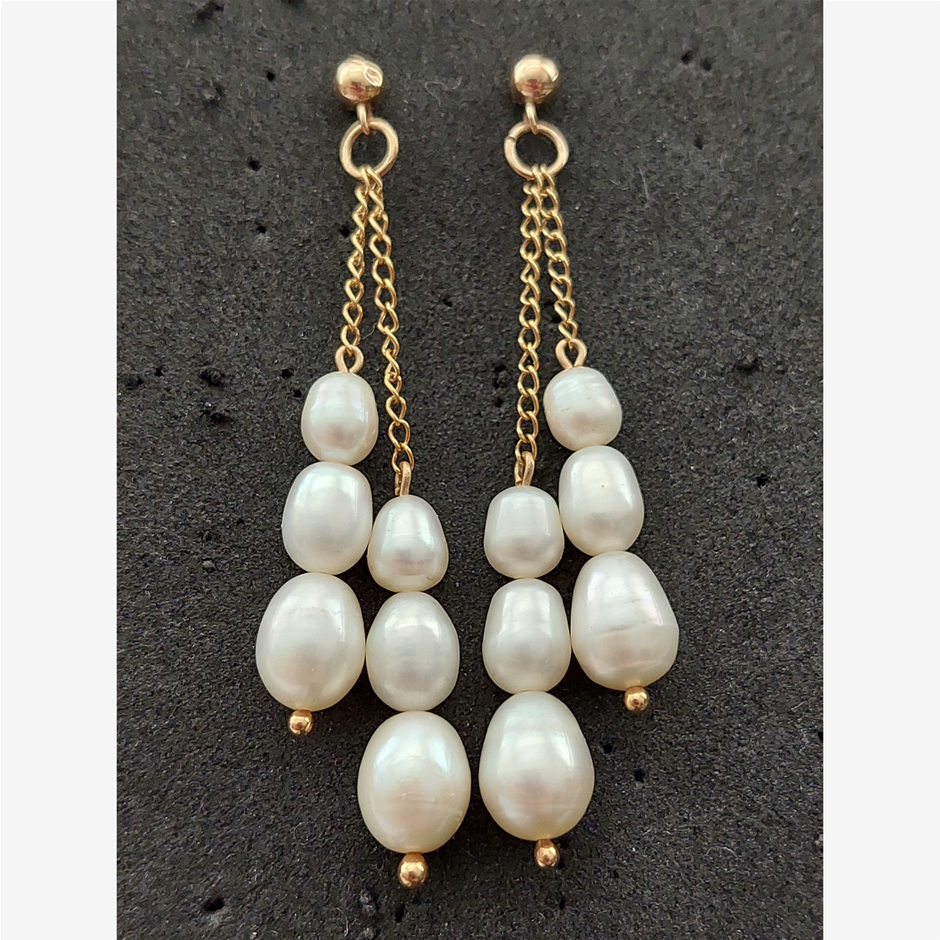 9ct Y/Gold Drop Earrings