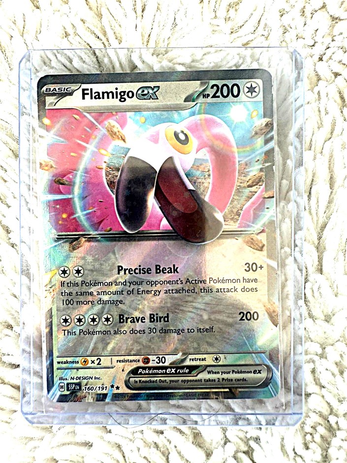 Flamigo ex RR English 160/191