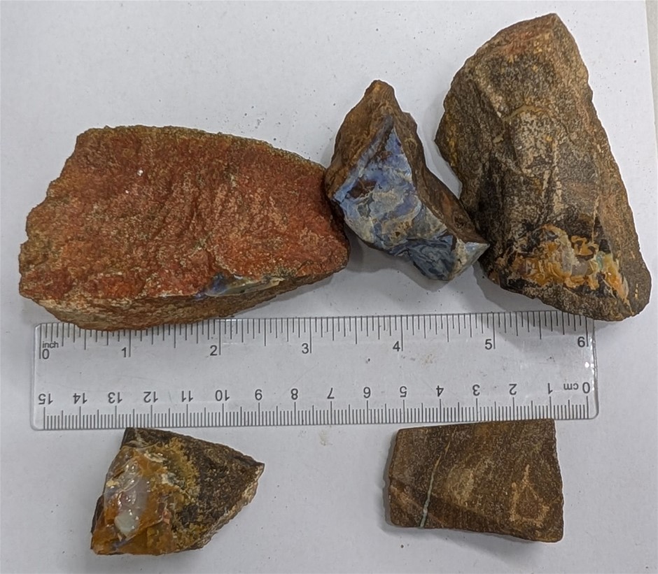 Half Kilo Queensland BOULDER OPAL Rough