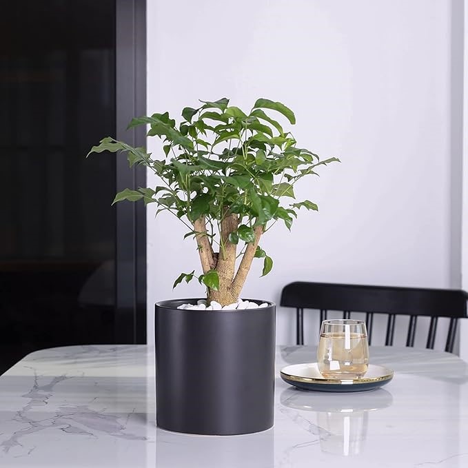 PAGEQIU Plant Pot Indoor - 5.1 inch Ceramic Planters Modern Black Flower Po