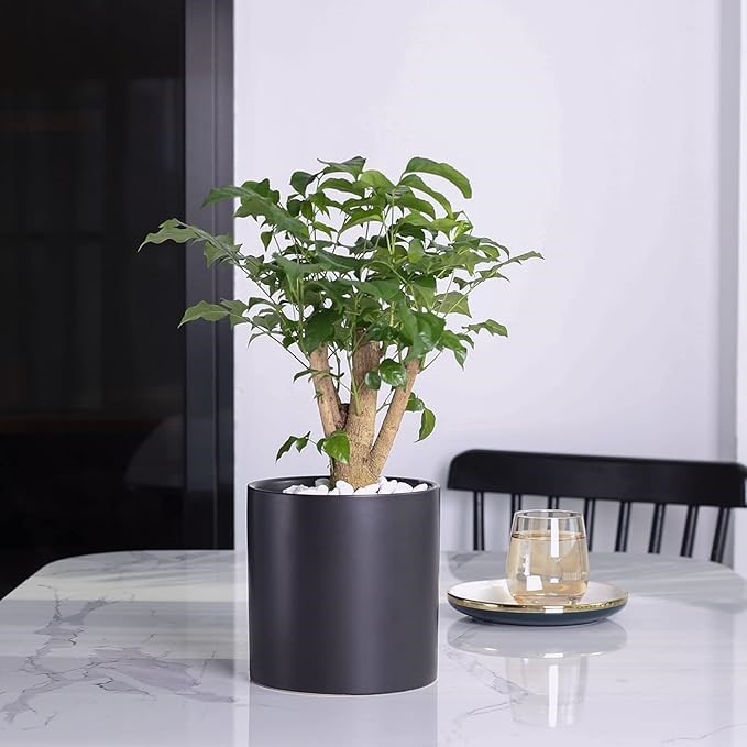 PAGEQIU Plant Pot Indoor - 5.1 inch Ceramic Planters Modern Black Flower Po
