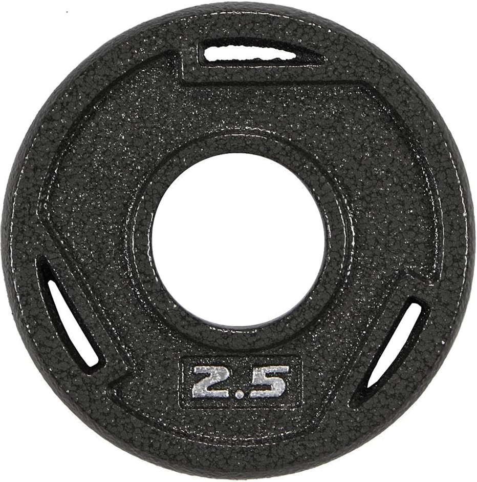 2 X BALANCEFROM Cast Iron Plate Weight Plate for Strength Training, Weightl