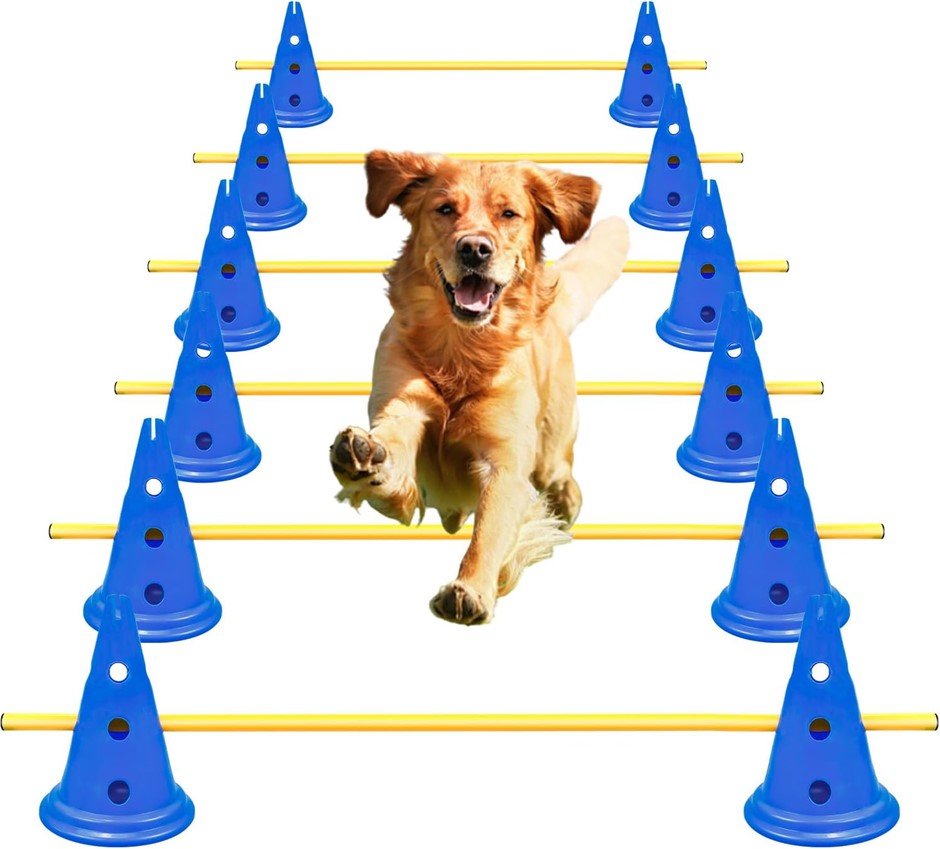 AEDNX Dog Agility Hurdle Cone Set, Include 12 Agility Cones, 6 Agility Rods
